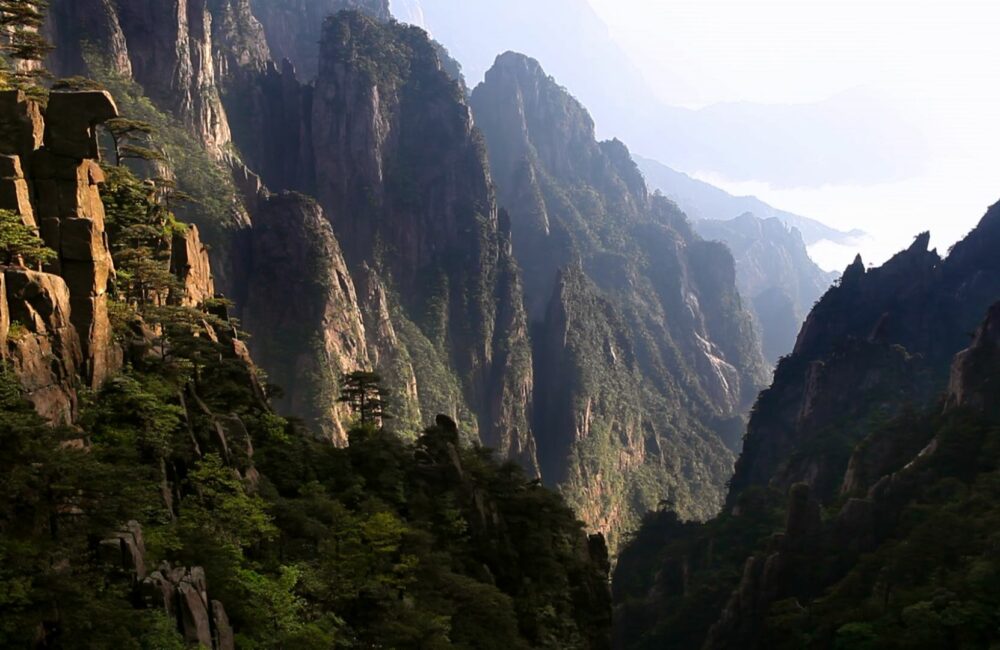 ©whatsupfilmschine1